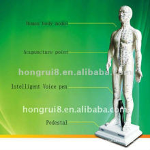 Human Intelligent voice systerm acupuncture point model